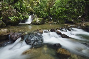 Scotabato1 by Michael de Guzman art print