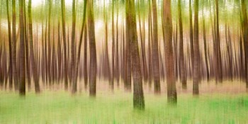 Blurred Trees 5 - Verde by Moises Levy art print
