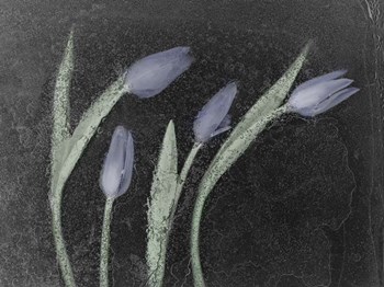 Tulipanes Azules by Moises Levy art print
