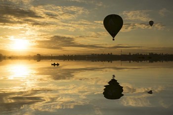 Love is in Air I by Moises Levy art print