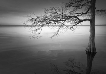 Apoyo by Moises Levy art print