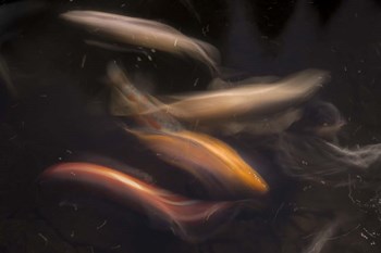 Movement 1 by Moises Levy art print