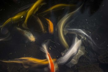 Movement 2 by Moises Levy art print