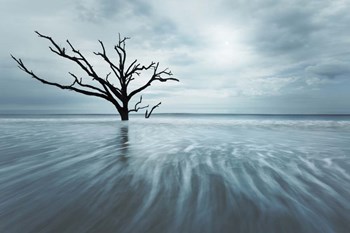 Searching For Life Color Edit by Moises Levy art print