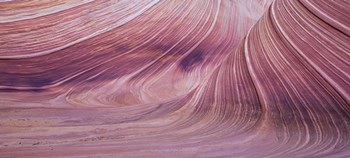The Small Wave 2 by Moises Levy art print