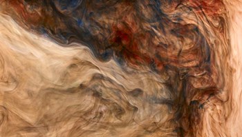 Ephemeral Beauty 5 by Moises Levy art print