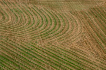 Abstract Air 1-1 by Moises Levy art print