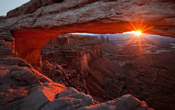 Mesa Arch Sunrise by Barbara Read art print