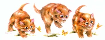 Kitten And Butterfly by Peggy harris art print