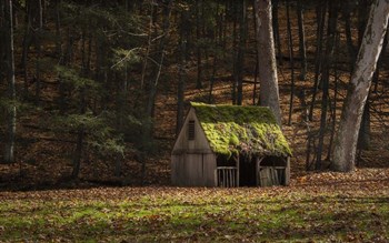 Rustic Glow by Natalie Mikaels art print