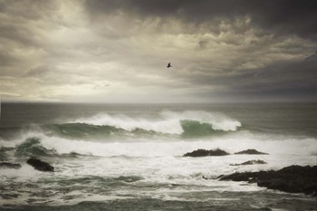 The Flight by Natalie Mikaels art print