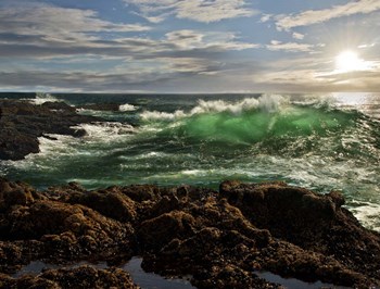 The Wave by Natalie Mikaels art print