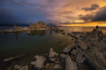 Transition by Natalie Mikaels art print