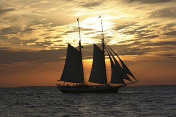 Golden Liberty by Robert Goldwitz art print