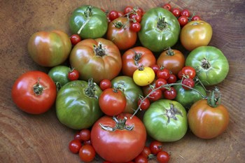 Heirlooms 1 by Robert Goldwitz art print