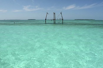 Hemingway&#39;s Platform by Robert Goldwitz art print