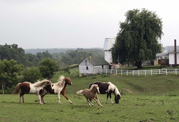 Winesberg Ohio by Robert Goldwitz art print