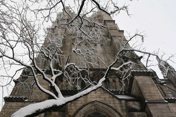 Branch Snow Cathedral 9688 by Robert Goldwitz art print