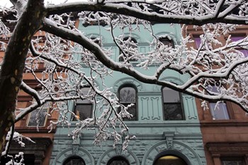 Snowstorm Brownstones Branches by Robert Goldwitz art print