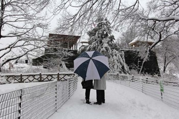 Central Park Couple In The Snow by Robert Goldwitz art print