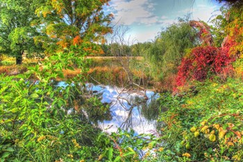 Autumn Pond by Robert Goldwitz art print