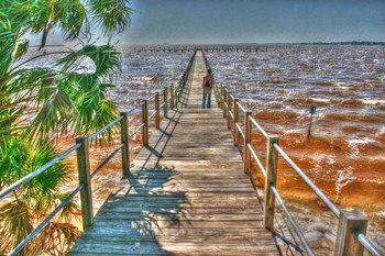 Cedar Key Pier by Robert Goldwitz art print