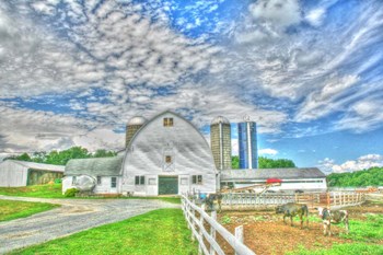 Dairy Barn by Robert Goldwitz art print