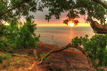 Dawn Egret by Robert Goldwitz art print