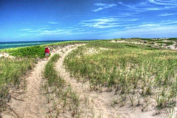 Dune Walker by Robert Goldwitz art print