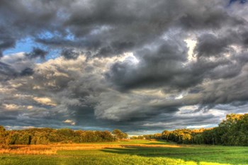 Front Forty by Robert Goldwitz art print