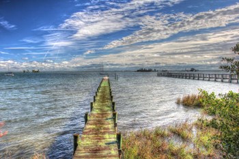 Green Pier And Sea Grass by Robert Goldwitz art print