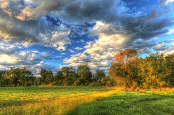 Late Summer Light by Robert Goldwitz art print