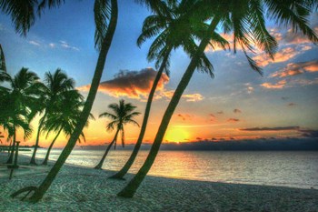 Smathers Sunrise by Robert Goldwitz art print