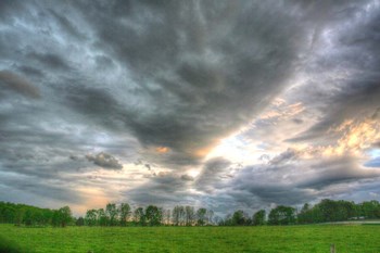 Back 20 Sunset 1 by Robert Goldwitz art print