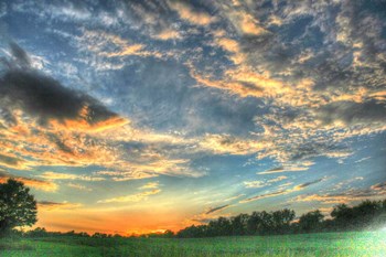 Back 20 Sunset 2 by Robert Goldwitz art print