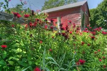 Barn And Minarda 1 by Robert Goldwitz art print