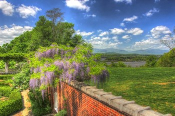 Blithwood 3 by Robert Goldwitz art print