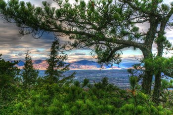 Catskills From Minnewaska by Robert Goldwitz art print