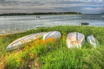 CC Boats And Bulkhead by Robert Goldwitz art print