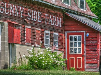 Farm Lettering 1 by Robert Goldwitz art print