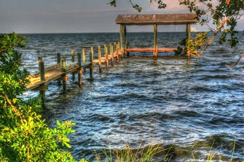Florida Rustic Pier by Robert Goldwitz art print