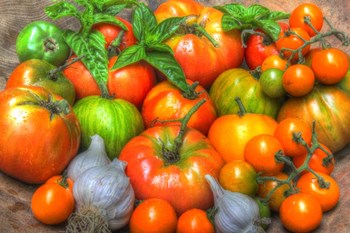 Harvest 2014 3 by Robert Goldwitz art print