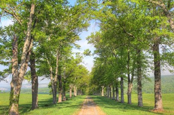 Mohonk I by Robert Goldwitz art print