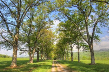 Mohonk III by Robert Goldwitz art print