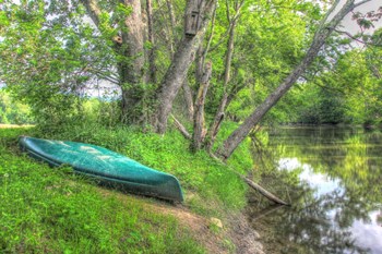Streamside Green Canoe by Robert Goldwitz art print
