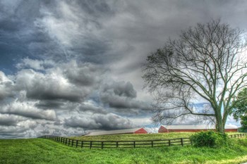 Paddock Storm by Robert Goldwitz art print