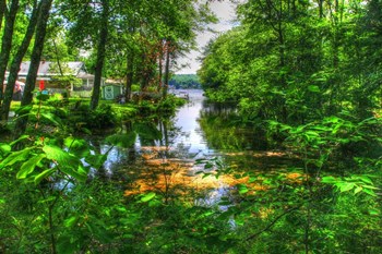 Pond Cove by Robert Goldwitz art print