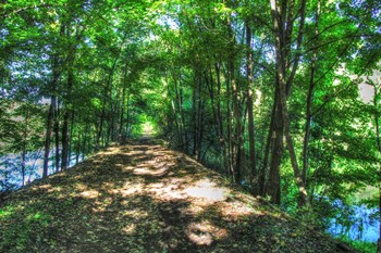 Railtrail Viaduct by Robert Goldwitz art print