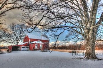 Winter Barn by Robert Goldwitz art print