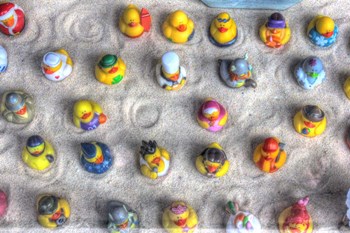 Rubber Duckies from Above by Robert Goldwitz art print